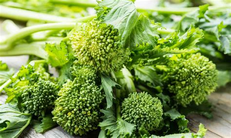 Broccoli Rabe Vs Broccolini Vs Rapini at Madison Hales blog