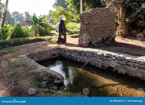 Agriculture in Egypt 的图像结果