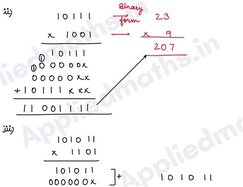Applied Math Class 11 Binary Numbers 的图像结果