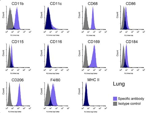 Flow Cytometry Histogram 的图像结果