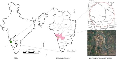Pollinator Diversity and Foraging Dynamics on Monsoon Crop of Cucurbits ...
