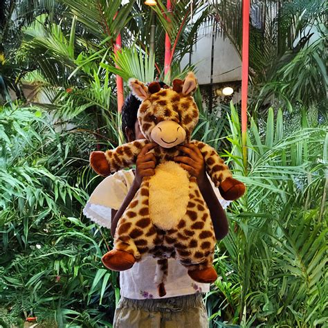 Jr. Raffi the Giraffe - Flat Plush Giraffe Toy for Tall Tales & Soft M ...