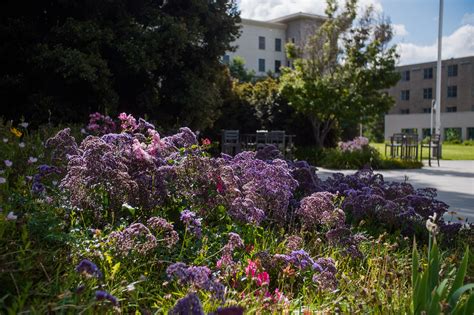 APU Parents Resources and Support - Azusa Pacific University