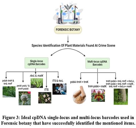 Image result for Forensic Botany DNA Barcoding