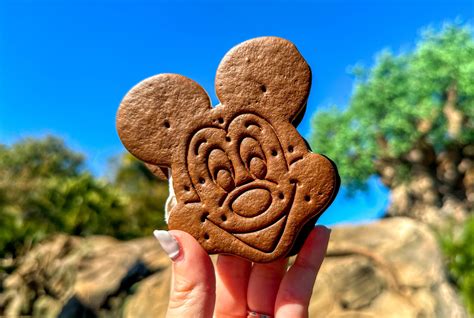Best Places to Find Mickey Shaped Treats at Disney World - MickeyBlog.com