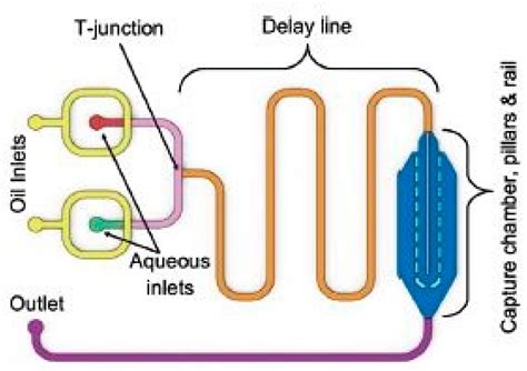 Recent Progress in 3D Printed Mold-Based Sensors