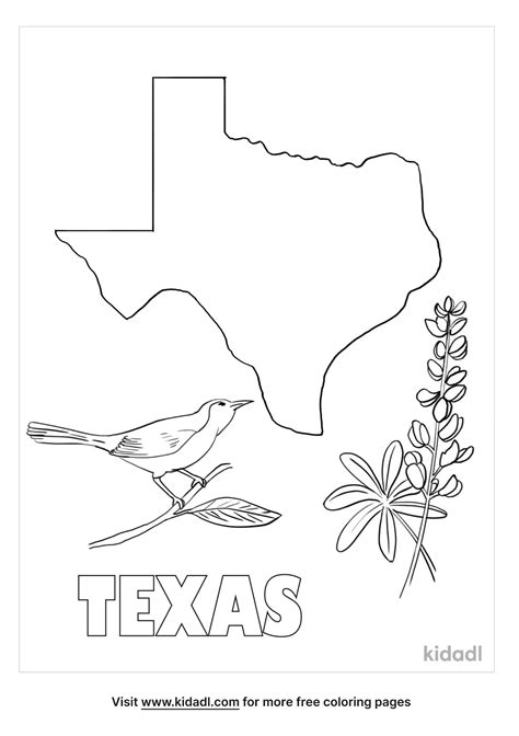 Texas Coloring Pages State Symbols
