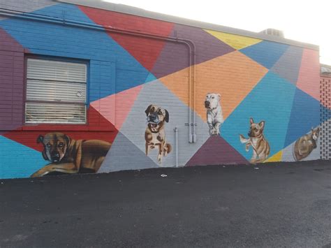 CHATTANEUTER - Chattanooga TN - Hours, Directions, Reviews - Loc8NearMe