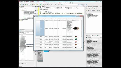 Image result for FireMonkey User Scripts Guide