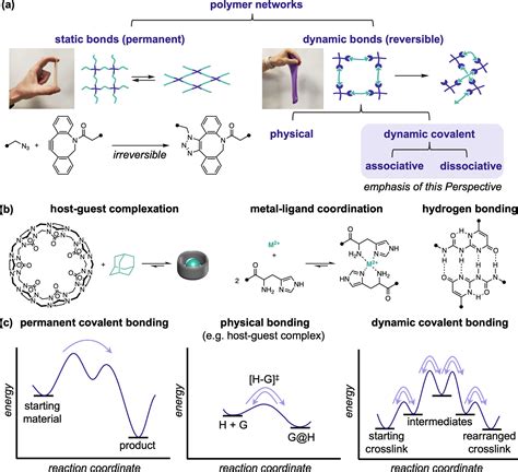 Network Covalent Bonds