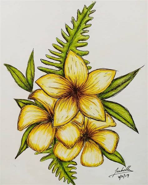 color Pencil Art Drawings Easy Flower - Uketsyseller