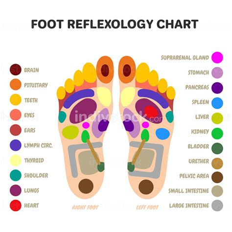 Foot Massage Acupressure Points To Induce Labor Chart at Rose Braddon blog