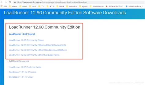 Load Runner Latest Version 的图像结果
