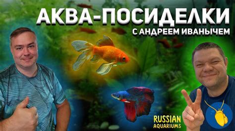 Про аквариумистику, разводни и клуб. Андрей Иваныч. Русские аквариумы ...