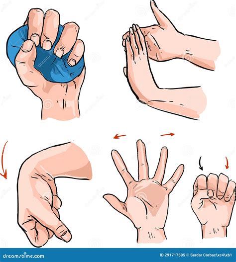 Hand and Wrist Strengthening Exercises Vector Illustration Stock Vector ...