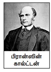 ஒட்டுறவுப் போக்குப் பகுப்பாய்வு - புள்ளியியல் முறைகள் மற்றும் பொருளாதார ...