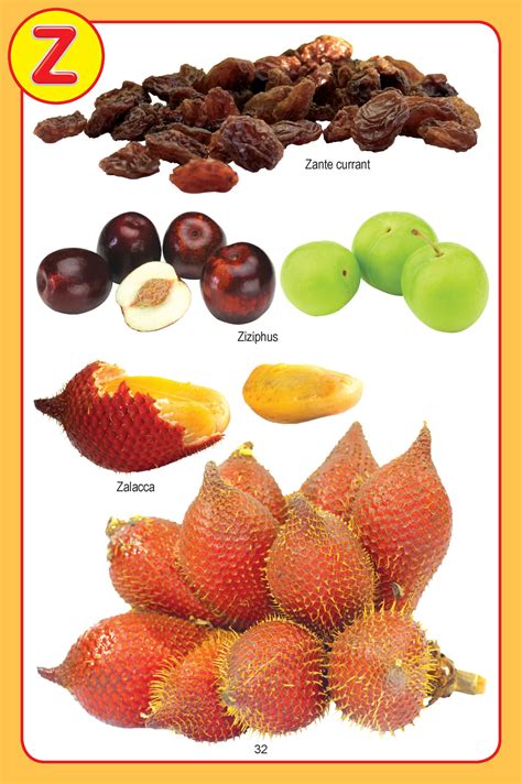 JoGenii |My Jumbo Fruit Pictionary | Dreamland Publications