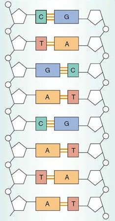 Labels KeyShot 的图像结果