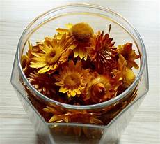 composizioni vasi composizioni di fiori secchi in vasi di vetro come creare composizioni vasi composizioni di fiori secchi in vasi di vetro come creare