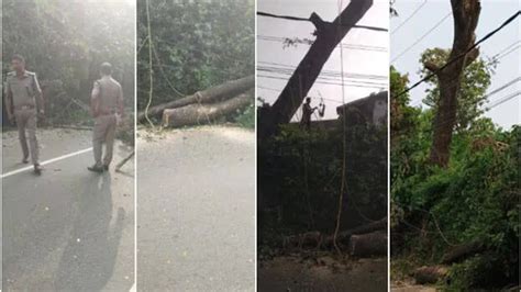 Biker's neck gets tangled in rope at Thiruvalla, dies - KERALA ...