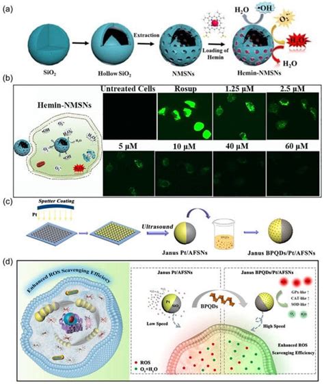 Autonomous Nanorobots as Miniaturized Surgeons for Intracellular ...
