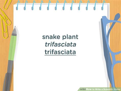 Image result for Scientific Name Example