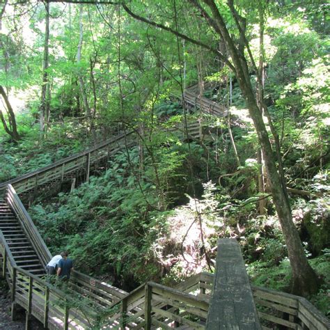DEVIL'S MILLHOPPER GEOLOGICAL STATE PARK (2025) All You Need to Know ...