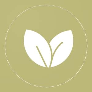 Moha: Herbal Rejuvenating Massage Oil with Jojoba Oil, Almond Oil and ...