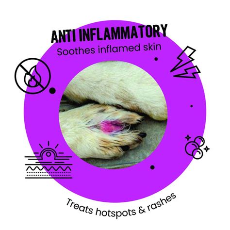 Vivaldis Bark Out Loud Hypoallergenic Allergy & Itch Relief Shampoo ...