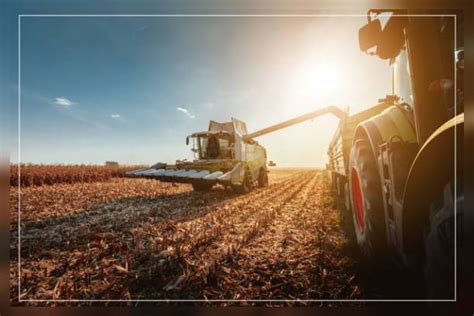 Commercial Farming 的图像结果