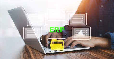 Image result for ERP Examples