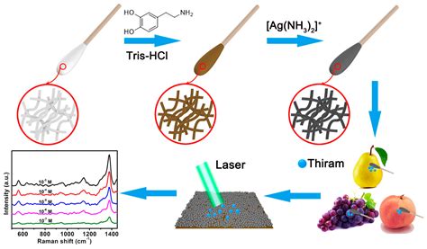Mussel-Inspired Fabrication of SERS Swabs for Highly Sensitive and ...
