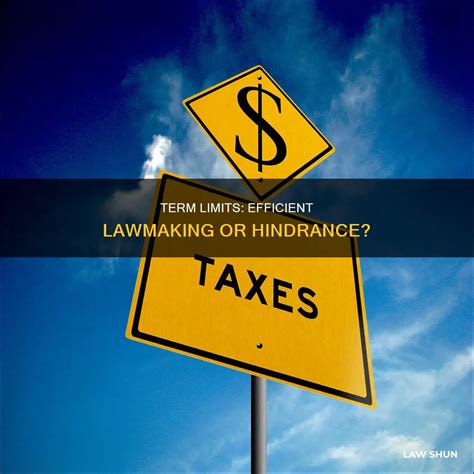 Term Limits: Efficient Lawmaking Or Hindrance? | LawShun