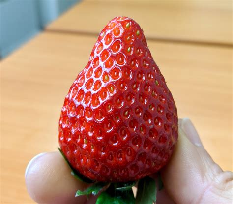 What it’s like to eat a super expensive Japanese strawberry【Taste Test】 | SoraNews24 -Japan News-