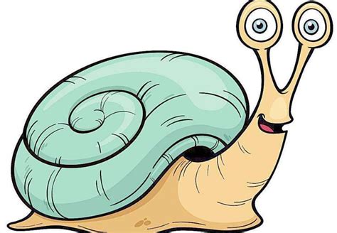 养蜗牛是怎样的体验？ - 知乎