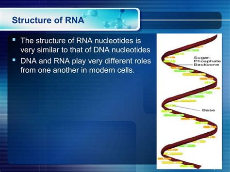 RNA Atomic Structure 的图像结果
