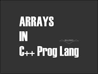 C Array Examples 的图像结果