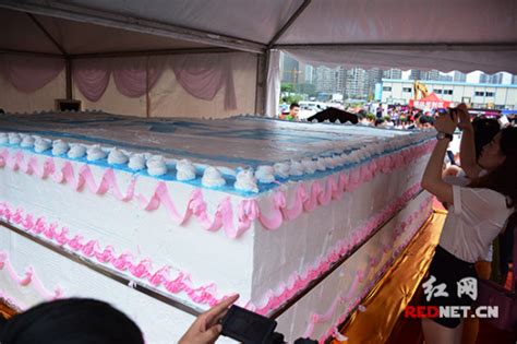 世界最大手工蛋糕亮相长沙 可供2万人分享（图）_新浪新闻