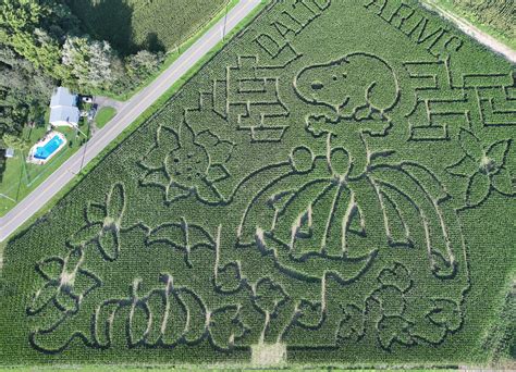 Corn Maze 的图像结果