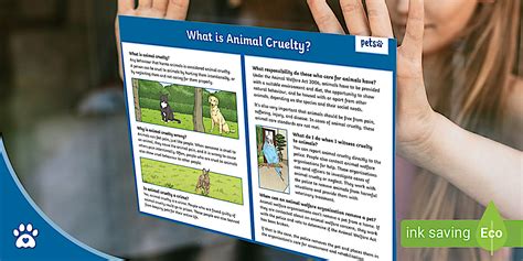 What is Animal Cruelty? - Fact Sheet - Cats - Twinkl Pets