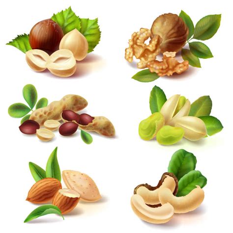 13,100+ Nut Clip Art Stock Illustrations, Royalty-Free Vector Graphics ...
