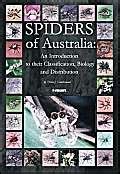 Buy Spiders of Australia: An Introduction to Their Classification ...