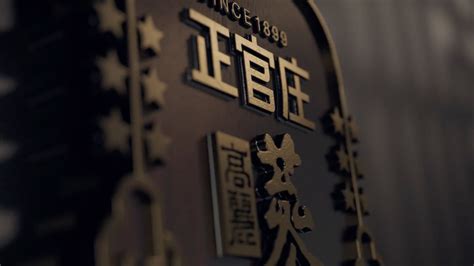 Does Ginseng Have Caffeine? Debunking Common Myths About Ginseng – JungKwanJang®