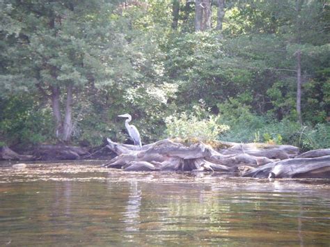 George Washington Campground Camp Sites: Reserve Your Spot Now