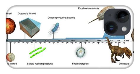Evolution of Animals 的图像结果