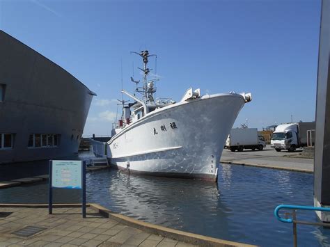SCIENCE MUSEUM OF OCEANOGRAPHY AND FISHERIES - All You Need to Know ...