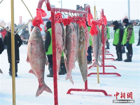 吉林查干湖开启冬捕大幕 “头鱼”拍出近三百万元