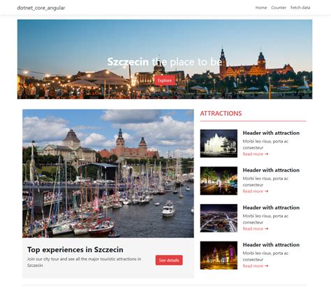 Image result for Angular with .Net Core and SQL