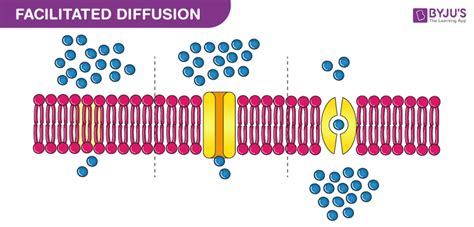 Simple Diffusion Examples 的图像结果