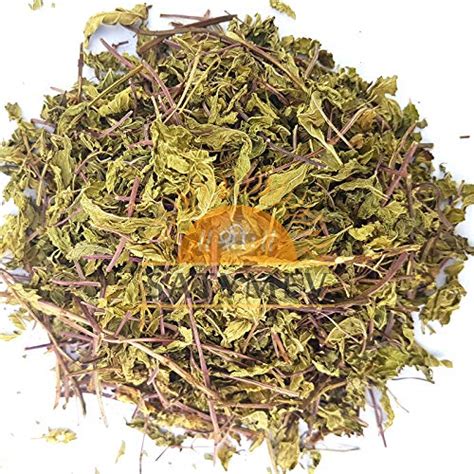 SriSatymev Dry Pudina Leaves (Mint), 100g : Amazon.in: Grocery ...